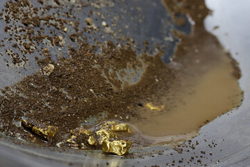 gold nuggets in a metal gold pan