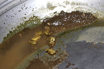 gold nuggets in a metal gold pan
