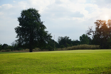 Background of evening golf course has sunlight shining down at golf course in Thailand. Nice scenery on a golf course at a late summer afternoon.