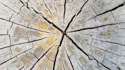 Cracked wooden background or wall. Pattern line of wood wallpaper or surface table.