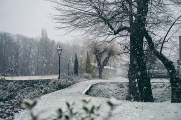 Beautiful garden covered in snow on winter Sunday morning