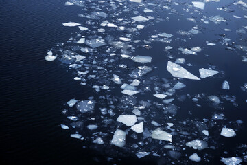 Glacier and iceberg landscape. Ice floes on the water. Ice drift, top view, natural winter...