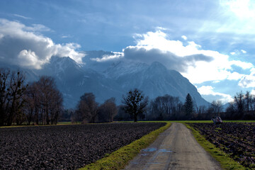 Naturlandschaft bei einem Spaziergang im Riet in Schaan in Liechtenstein 26.12.2020