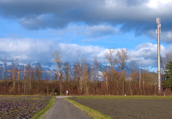 Naturlandschaft bei einem Spaziergang im Riet in Schaan in Liechtenstein 26.12.2020