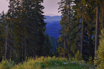 Early Morning In the Mountains, Pamporovo, Rodopi, Bulgaria
