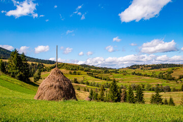 Pile of hay on the mountain covered with coniferous trees and blue sky. Beautiful landscape