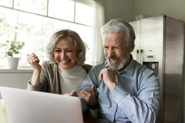 Close up overjoyed mature spouses looking at laptop screen, reading good news in email, happy elderly man and woman excited by shopping sales, lottery win, making video call, chatting online