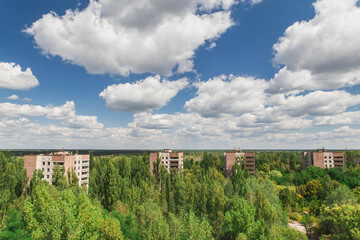 Ghost town Pripyat overgrown by wild self-seeding forest