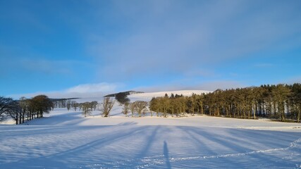 Winter on the hill