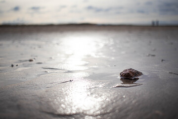 The Dutch coastline on a cloudy but bright day (Kijkduin, The Hague, The Netherlands)