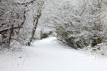 Snow in Oxford