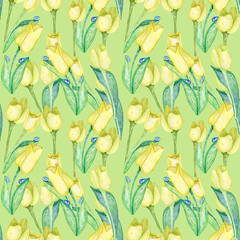 Seamless pattern with spring flowers tulips. Watercolor hand drawn flowers.