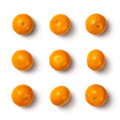 Collection of orange. Orange fruits on white background. Top view