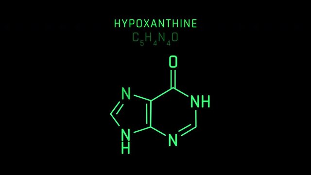 Hypoxanthine Molecular Structure Symbol Neon Animation on black background