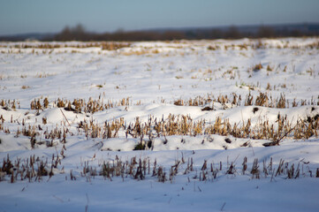 Harvested field in the snow