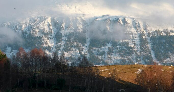 snow capped mountains in the cairngorms national park with woodland, pine wood foreground.