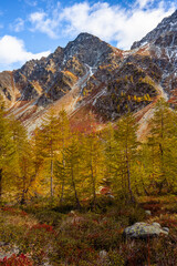 Arpy Lake and the surroundings area during the fall and changing of the colors. Foliage, reflection and snowy peaks.