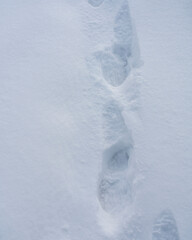 Top view hot footsteps on cold snow.