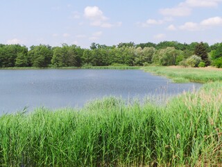 Czech Republic, Hluboká nad Vltavou, pond, lake with green grass