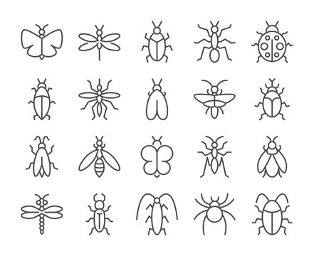 Insects icon. Bugs line icons set. Vector illustration. Editable stroke.