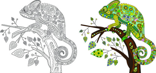 Decorative stylization of a chameleon lizard of different colors sitting on a branch with leaves. Coloring page of chameleon. Vector illustration. © GN.STUDIO