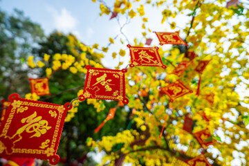 Ochna integerrima (Hoa Mai) tree with lucky money. Traditional culture on Tet Holiday in Vietnam. Text in photo mean Happy New Year.