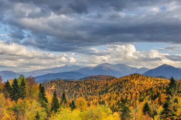 The mountain autumn landscape with colorful forest. Golden autumn in the forest. Caucasus mountains, Adygea, Russia