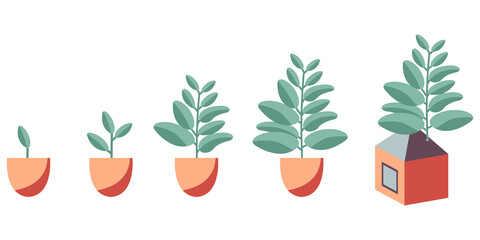Fototapeta na wymiar Set of five flat vector items - stages of house plant growth in trendy earthy pastel colors. Funny progress of growing. Home gardening. Plants in pots.