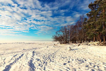 snow covered shore of the Baltic sea on a sunny winter day
