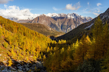 Fototapeta premium Arpy Lake and the surrounding area during the fall and changing of the colors. Foliage, reflection and snowy peaks
