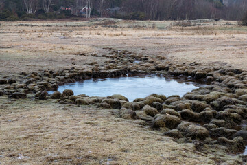 Pool of frozen water and grass with hoar frost on the coast of Sweden

