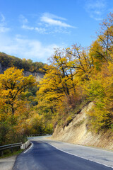 Road in the autumnal forest. Golden autumn in the forest. Caucasus mountains, Adygea, Russia