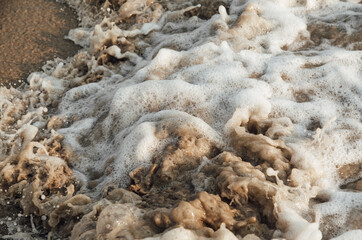 Sea foam texture, sea wave