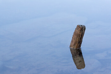 Wooden pole in the sea with nice reflection and negative space for text