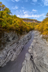 Fototapeta na wymiar Mountain river in autumn forest. Golden autumn in the forest. Caucasus mountains, Adygea, Russia