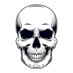 Vector black and white illustration of a human skull with a lower jaw isolated on a white background.