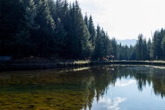 Various views of the Tani Jubaar Lake, Narkanda