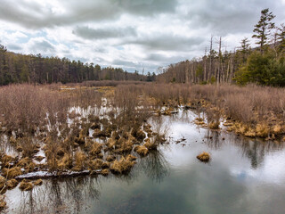 Beaver modified landscape on an unsettled winter day