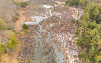 Beaver modified landscape from above © GenOne360