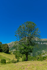 landscape in the mountains