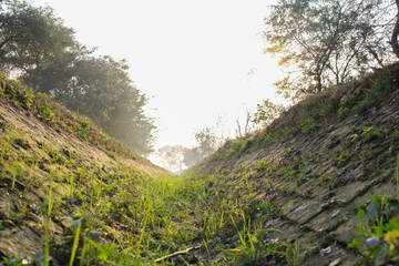 Low angle shot of an irrigation canal with grass and sun rising in the horizon.