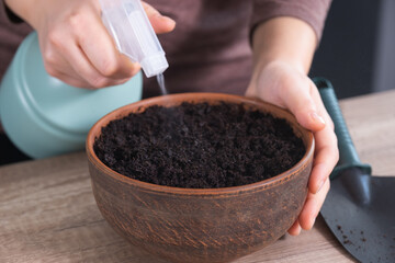 Gardening at home. How to grow any plant on windowsill. Step by step, tutorial.
