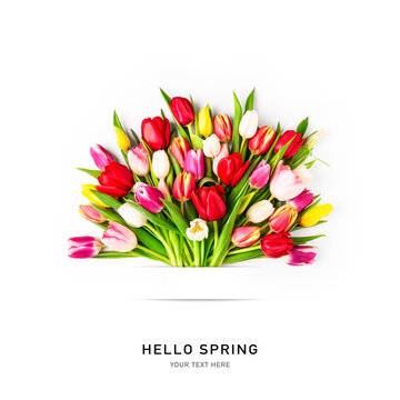 Creative layout of beautiful tulip flowers bouquet. Hello spring concept