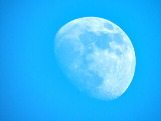 Lune en plein jour avec un ciel bleu