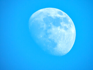 Lune en plein jour avec un ciel bleu