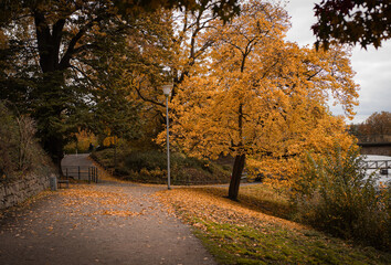 Herbstspaziergang