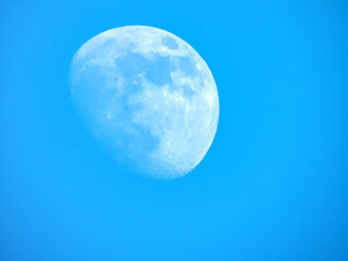 Lune en plein jour avec un ciel bleu