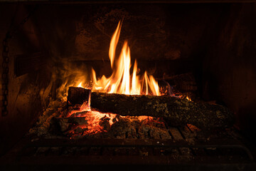 Close-up photo of a bonfire with long flames burning a trunk