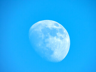 Lune en plein jour avec un ciel bleu