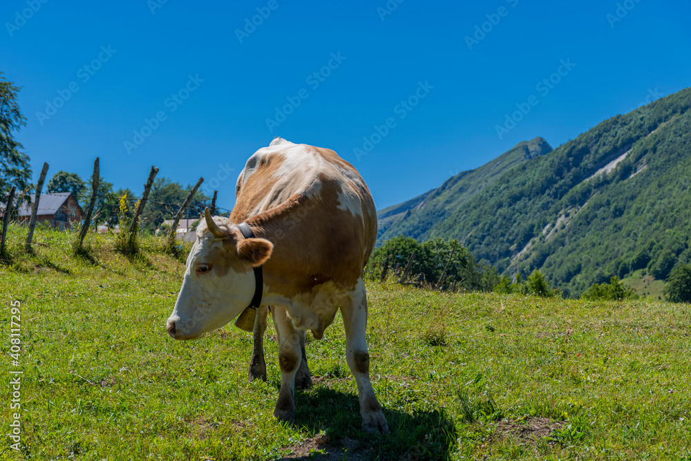 Sticker cow on a meadow